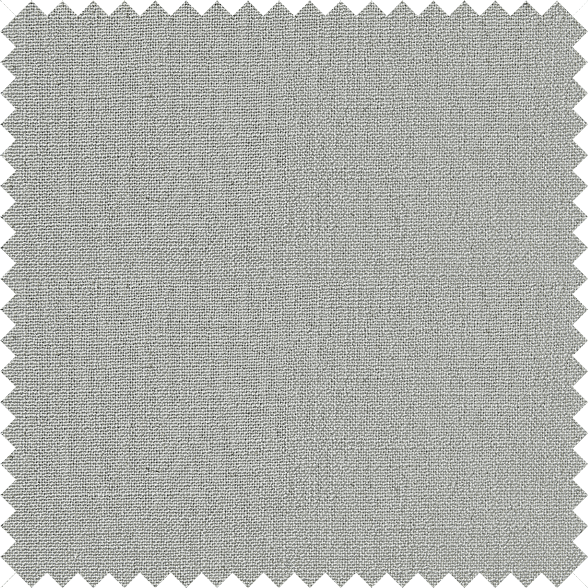201-11 Silver Birch