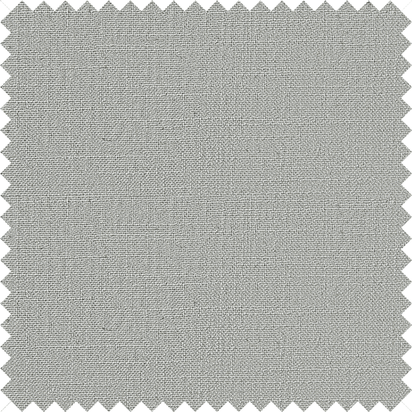 201-11 Silver Birch