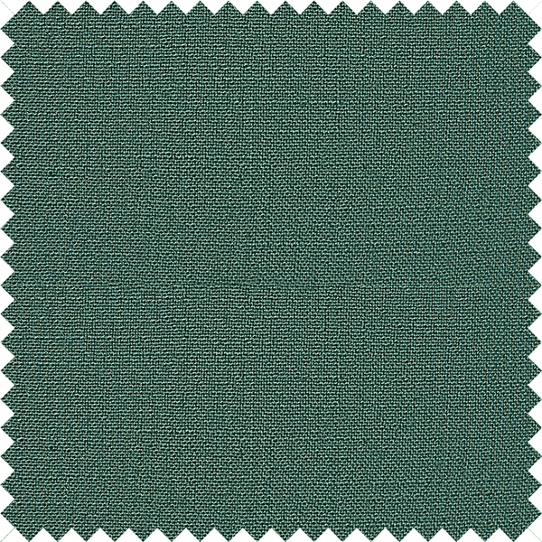 #5 Medium Sea Green