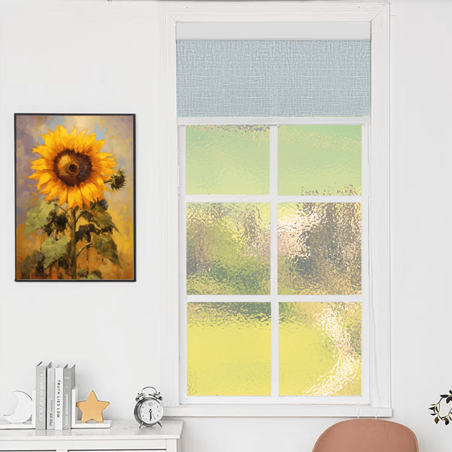 Blackout Roller Shades Blinds Cordless for Windows Pull Down Room Darkening