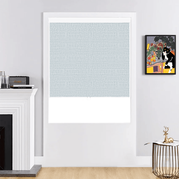 Roller shades Blinds with Thermal Insulated Easy to Install for Living Room,Bedroom,Home,Office
