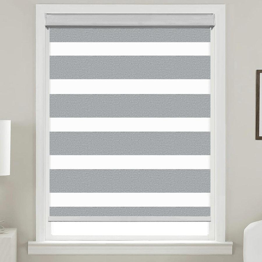 Zebra Blinds for Windows, Dual Layer Free-Stop Zebra Shades Privacy Light Control for Day and Night